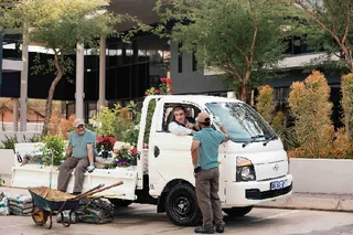 Tree Falling &amp; Junk Removal