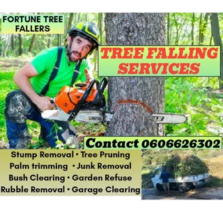 Professional Tree Fallers