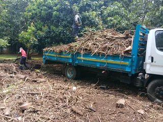 Garden refuse removal