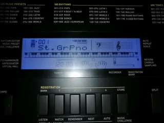 Casio WK-240 didital keyboard