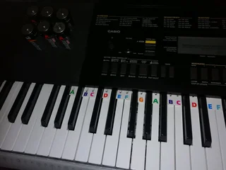 Casio WK-240 didital keyboard