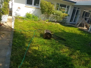 WE SUPPLY KIKUYU GRASS BUFFALO GRASS LM BEREA GRASS AND CYNODON GRASS