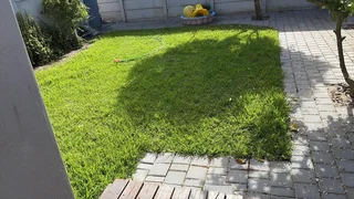 WE SUPPLY KIKUYU GRASS BUFFALO GRASS LM BEREA GRASS AND CYNODON GRASS