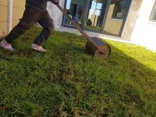 We supply kikuyu grass buffalo grass Lm berea grass and cynodon grass