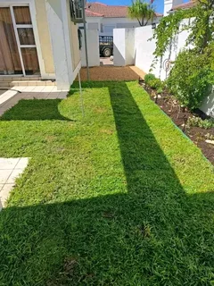 WE SUPPLY KIKUYU GRASS BUFFALO GRASS LM BEREA GRASS AND CYNODON GRASS