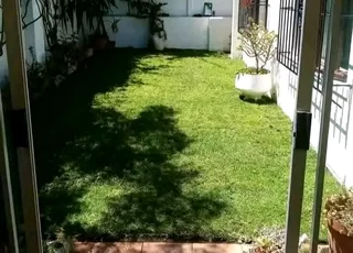 WE SUPPLY KIKUYU GRASS BUFFALO GRASS LM BEREA GRASS AND CYNODON GRASS