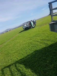 We Supply Kikuyu Grass Buffalo Grass Lm Berea Grass And Cynodon Grass