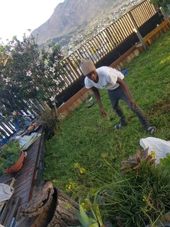 WE SUPPLY KIKUYU GRASS BUFFALO GRASS LM BEREA GRASS AND CYNODON GRASS