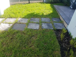 WE SUPPLY KIKUYU GRASS BUFFALO GRASS LM BEREA GRASS AND CYNODON GRASS