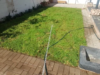 WE SUPPLY KIKUYU GRASS BUFFALO GRASS LM BEREA GRASS AND CYNODON GRASS