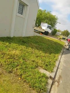 WE SUPPLY KIKUYU GRASS BUFFALO GRASS LM BEREA GRASS AND CYNODON GRASS