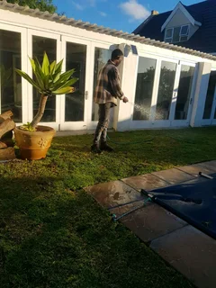 WE SUPPLY KIKUYU GRASS BUFFALO GRASS LM BEREA GRASS AND CYNODON GRASS