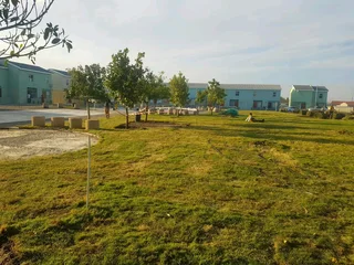 WE SUPPLY KIKUYU GRASS BUFFALO GRASS LM BEREA GRASS AND CYNODON GRASS