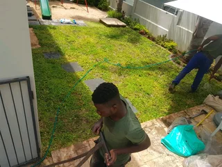 WE SUPPLY KIKUYU GRASS BUFFALO GRASS LM BEREA GRASS AND CYNODON GRASS