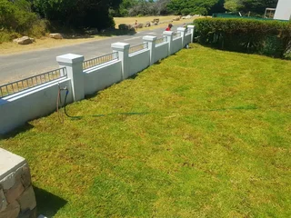 WE SUPPLY KIKUYU GRASS BUFFALO GRASS LM BEREA GRASS AND CYNODON GRASS