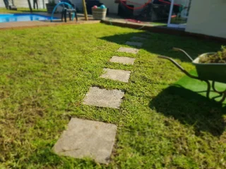 WE SUPPLY KIKUYU GRASS BUFFALO GRASS LM BEREA GRASS AND CYNODON GRASS