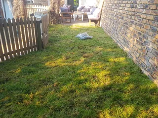 WE SUPPLY KIKUYU GRASS BUFFALO GRASS LM BEREA GRASS AND CYNODON GRASS