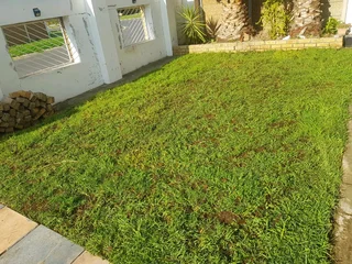 WE SUPPLY KIKUYU GRASS BUFFALO GRASS LM BEREA GRASS AND CYNODON GRASS