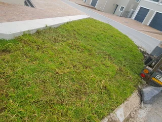WE SUPPLY KIKUYU GRASS BUFFALO GRASS LM BEREA GRASS AND CYNODON GRASS