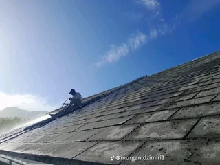 Roof painting and cleaning