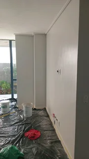 Roof painting and cleaning