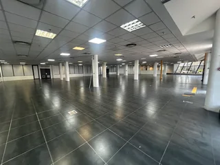 Commercial Property Available in Springfield Park - Automotive Showroom, Workshop &amp; Offices!