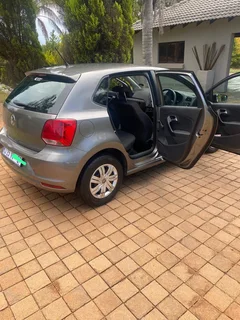 Polo vivo