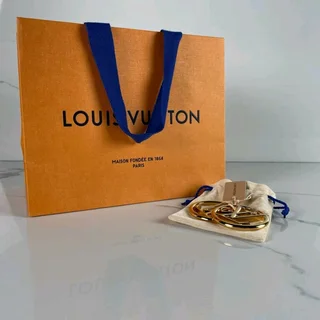 Louis vuitton earrings