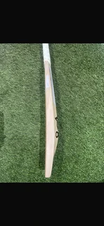 Kokabura Cricket Bat
