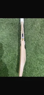 SS Cricket Bat English willow