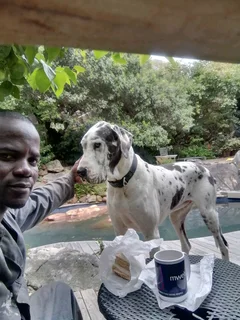 Gardening &amp;housekeeper