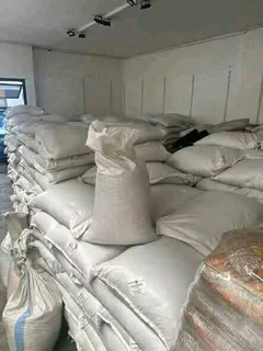 Yellow maize and sugar beans 50kgs  for sales