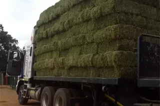 Lucerne bales and Erogratic grass for sale 25kg and 50kg and 250Kgs