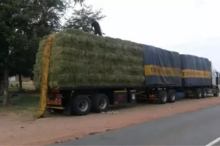 Lucerne bales and Erogratic grass for sale 25kg and 50kg and 250Kgs