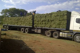Lucerne bales and Erogratic grass for sale 25kg and 50kg and 250Kgs