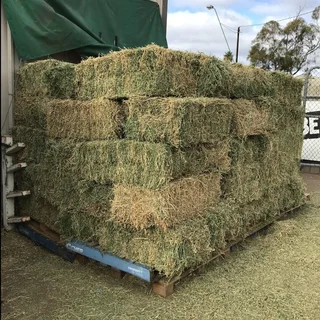 Lucerne bales and Erogratic grass for sale 25kg and 50kg and 250Kgs