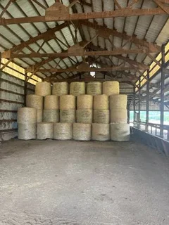 Lucerne bales  for sales 25Kgs And 50Kgs