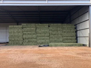 Lucerne bales  for sales 25Kgs And 50Kgs