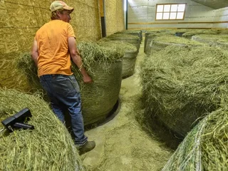 250kgs Lucerne bales for sales R750 a grade