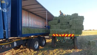 250kgs Lucerne bales for sales R750 a grade
