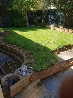 WE SUPPLY KIKUYU GRASS BUFFALO GRASS LM BEREA GRASS AND CYNODON GRASS