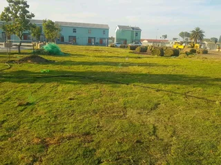We supply kikuyu grass buffalo grass Lm berea grass and cynodon grass