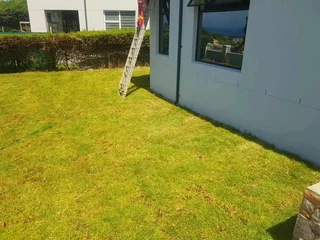 We supply kikuyu grass buffalo grass Lm berea grass and cynodon grass