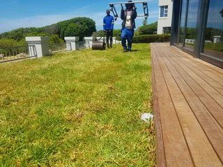 We supply kikuyu grass buffalo grass Lm berea grass and cynodon grass