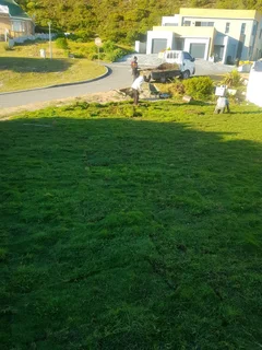 We supply kikuyu grass buffalo grass Lm berea grass and cynodon grass