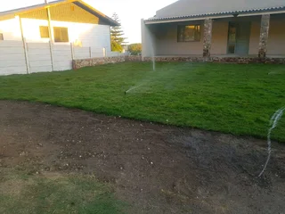 We supply kikuyu grass buffalo grass Lm berea grass and cynodon grass