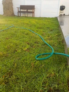 WE SUPPLY KIKUYU GRASS BUFFALO GRASS LM BEREA GRASS AND CYNODON GRASS