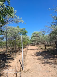 Brighton Fence Installation Services