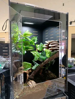 Reptile enclosures