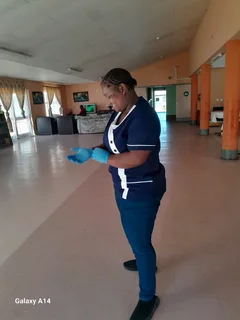 Demostic work and clining